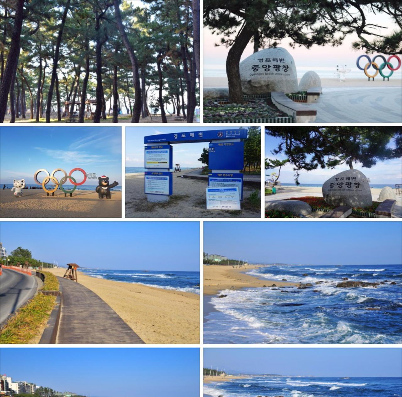 Hostel Aark House Gangneung Zewnętrze zdjęcie